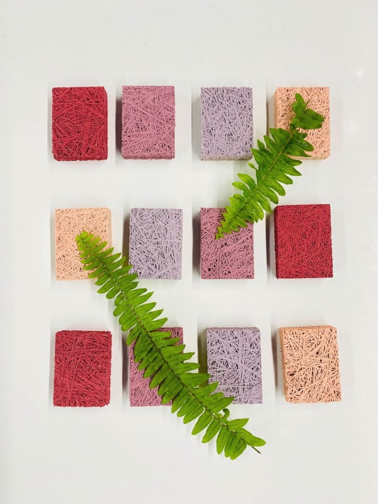 Twelve rectangular, textured blocks in red, pink, and purple are neatly arranged in rows on a white surface. Two green fern leaves are placed diagonally across the blocks.