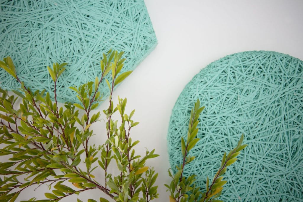 Two textured turquoise circular objects with a woven, string-like pattern are placed on a white surface. Green leafy branches extend from the lower left corner, partially overlapping the objects.