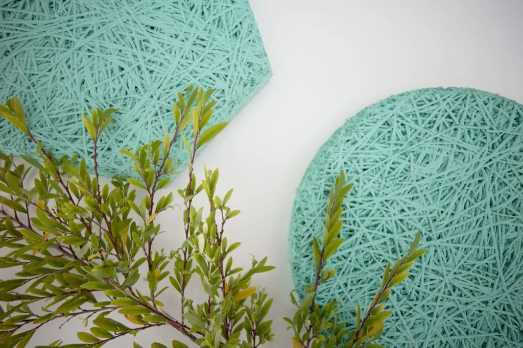 Two textured turquoise circular objects with a woven, string-like pattern are placed on a white surface. Green leafy branches extend from the lower left corner, partially overlapping the objects.