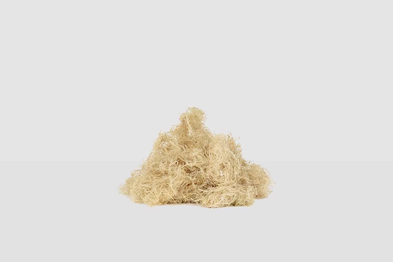 A small pile of light brown, shredded natural fibers sits on a plain white surface with a white background.