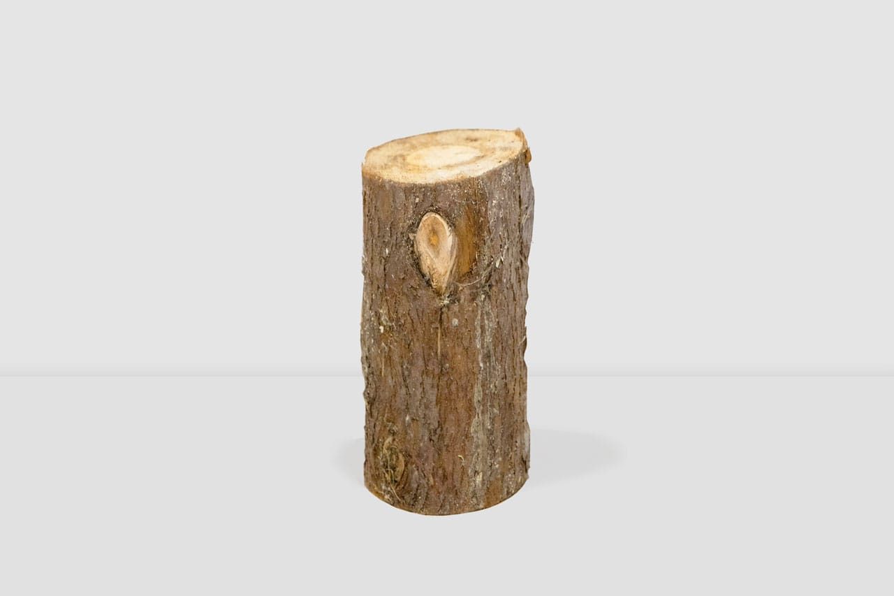 A single, upright tree log with rough brown bark and a visible knot, standing on a plain light gray background.